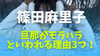 篠田麻里子の旦那がモラハラといわれる理由