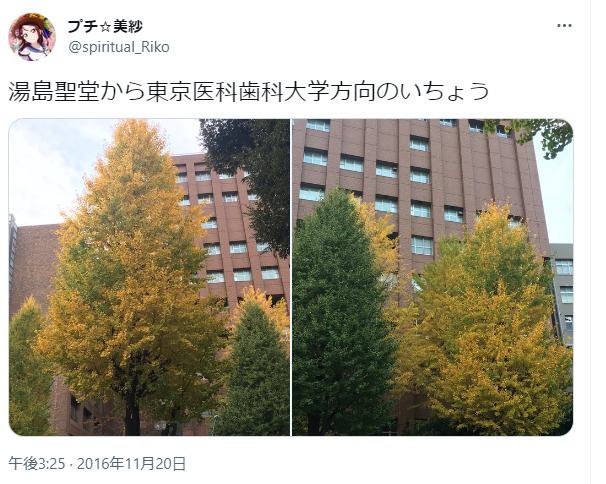 中居正広が入院した病院名は東京医科歯科大学病院